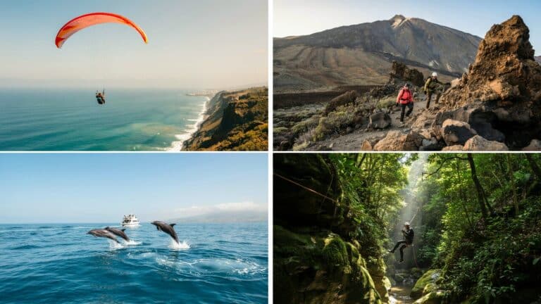 Actividades de aventura en Tenerife: parapente, senderismo, cetáceos y barranquismo